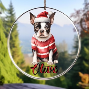 Personalized Dog Christmas Acrylic Ornament, Dog Christmas Decor, Dog Mom Dad Gift, Dog Lover Gift, Dog Name Personalized Keepsake Ornament