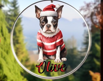 Personalized Dog Christmas Acrylic Ornament, Dog Christmas Decor, Dog Mom Dad Gift, Dog Lover Gift, Dog Name Personalized Keepsake Ornament