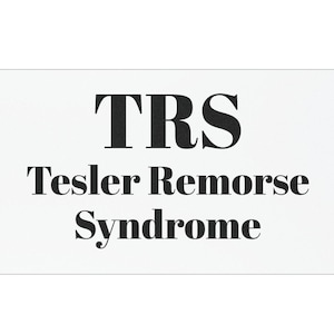 Anti ELON Car Magnet, Trendy Tesler Car Magnet, Funny Elon Bumper Magnet, Political Humor Magnet, Anti MAGA Humor, Anti Billionaires
