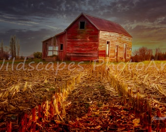Grey Fox Barn, Greytown, N.Island, New Zealand. Digital Art - Wall Decor for Home, Living Room, Bedroom - Photography Canvas.