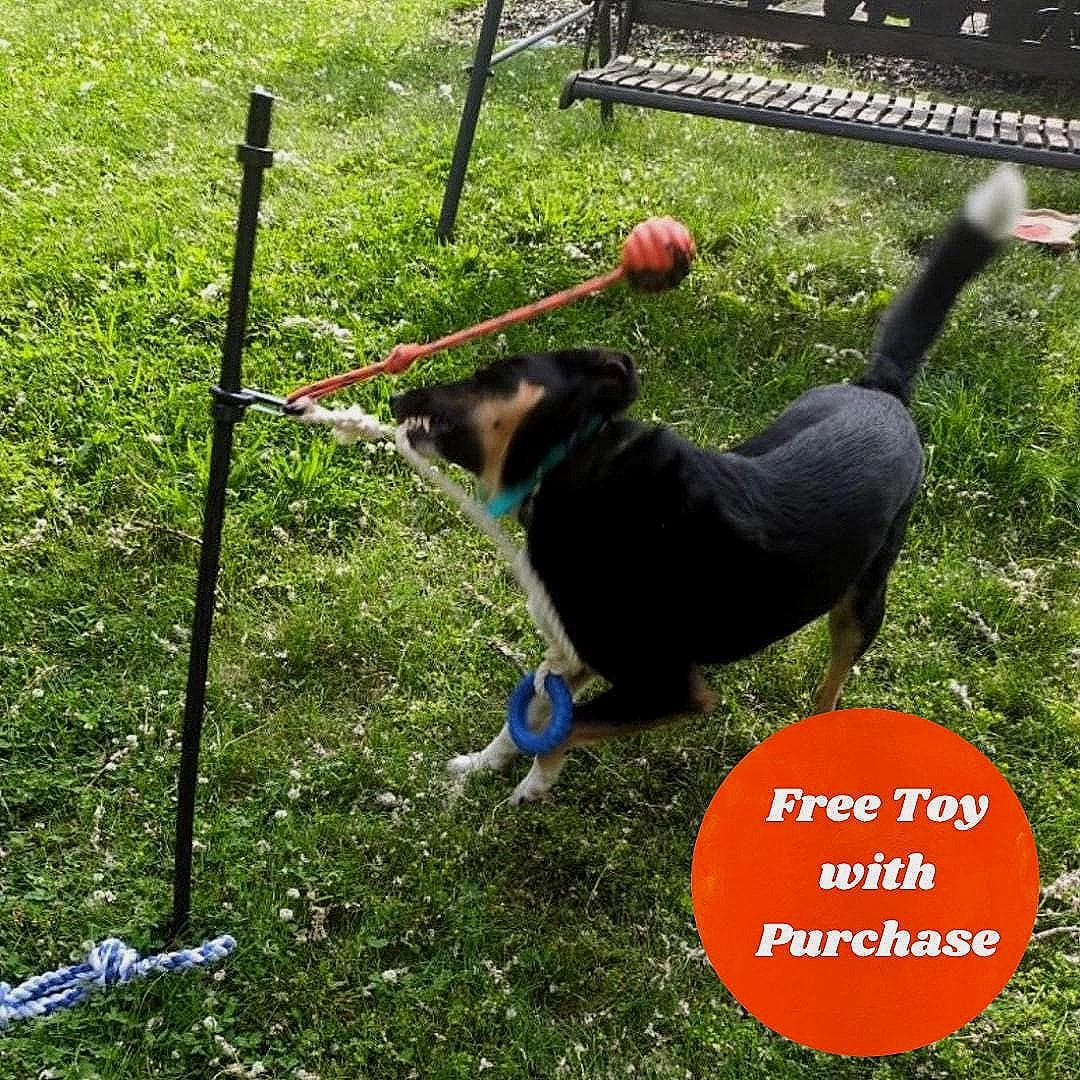 Tetherball Tether Tug Diy Tether Ball Diy Tether Tug Dog Toy Tire Diy  Tetherball For Dogs