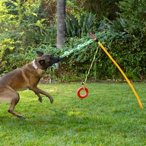 May include: A brown and tan dog playing with a green and yellow rope toy attached to a yellow pole with a red ring at the end. The dog is jumping in the air to catch the toy.
