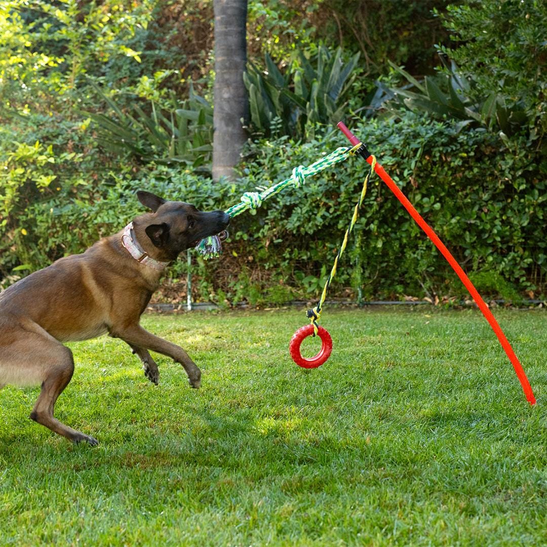 Dog Tether Ball Tether Tug Diy Tug Diy Dog Tug Tether Tug Installation  BORDER COLLIE, Enrichment