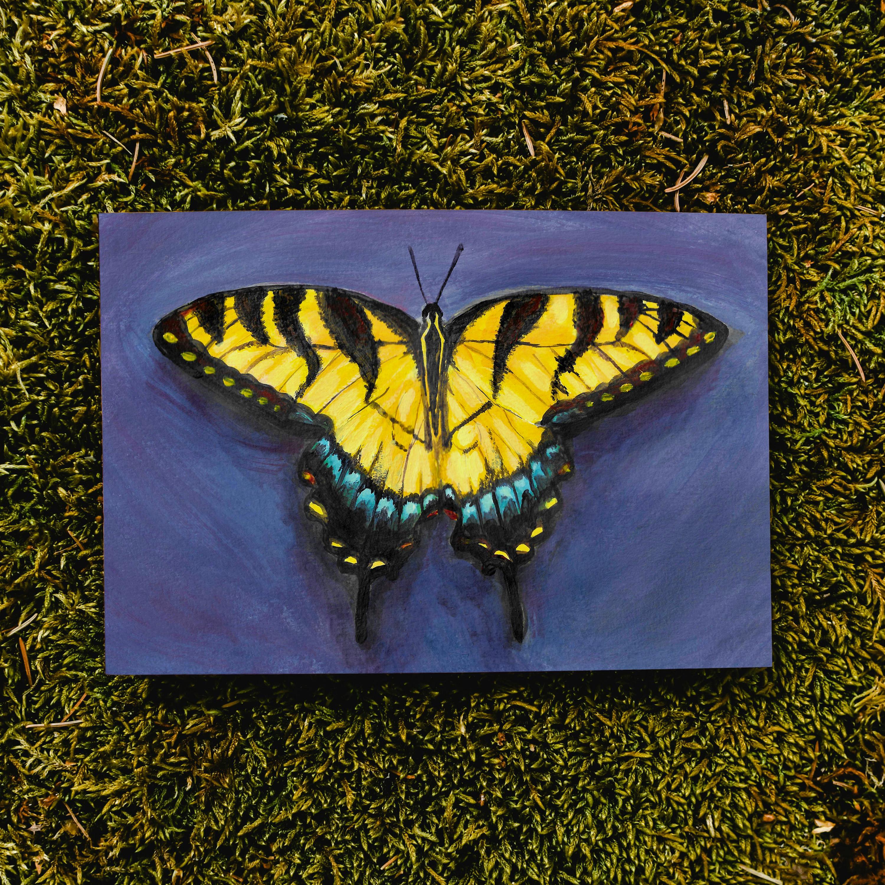 Eastern Tiger Swallowtail Butterfly Giclee Art Print - 4x6 Acrylic