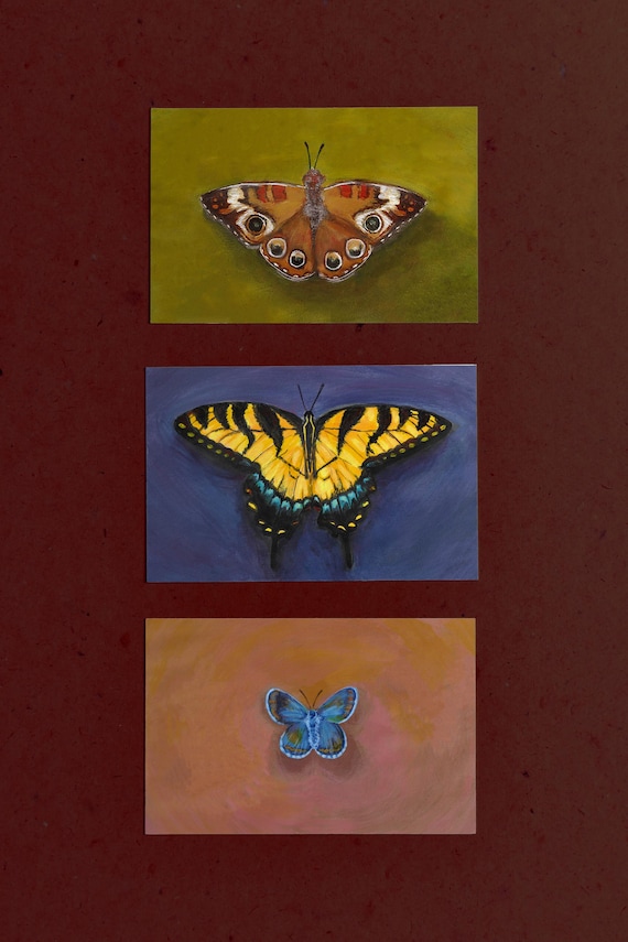 Eastern Tiger Swallowtail Butterfly Giclee Art Print - 4x6 Acrylic