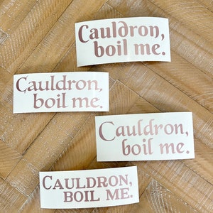 Cauldron Boil Me Decal Sticker | ACOTAR Series Sticker Decal | Sarah J. Mass Merch | ACOTAR Quote | A Court Of Thorns and Roses | Curse word