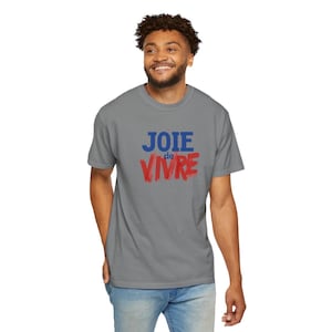 Puede incluir: Una camiseta gris de manga corta con el texto JOIE en letras azules sobre la palabra de en letras azules peque&ntilde;as y VIVRE en letras rojas grandes con estilo de pincelada, centradas en el pecho de la prenda.