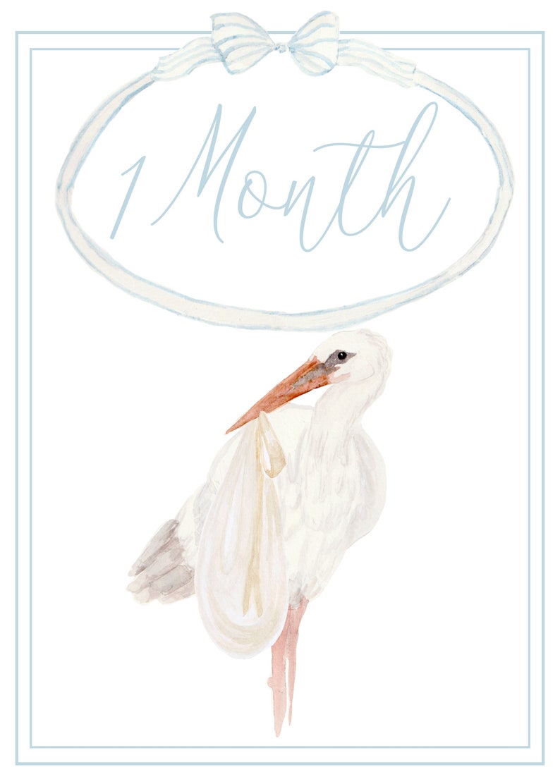 Watercolor Boy's Heirloom Milestone Cards | Grandmillennial Milestone ...