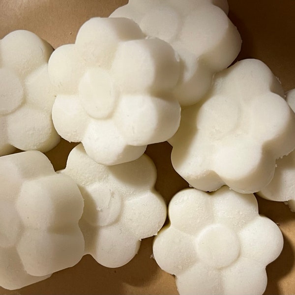 Pet Safe Wax Melts Etsy