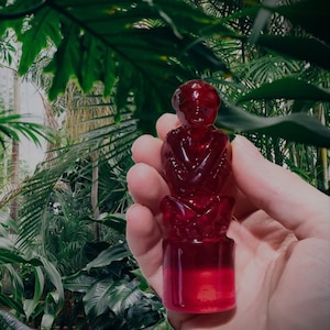 May include: A translucent, ruby-red figurine of a seated figure with arms crossed, held in a hand. The figure sits atop a cylindrical base. The background features lush green foliage, suggesting a natural or botanical theme.