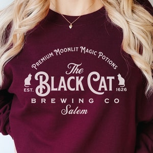 Salem Massachusetts Sweatshirt, Halloween Sweatshirt Women, Salem Black Cat Brewery, Vintage Halloween, Witch Halloween, Cute Fall Sweater