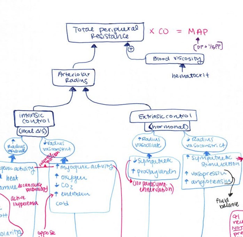 Cardiac Total Peripheral Resistance Feedback and Control Flow Chart 1 ...