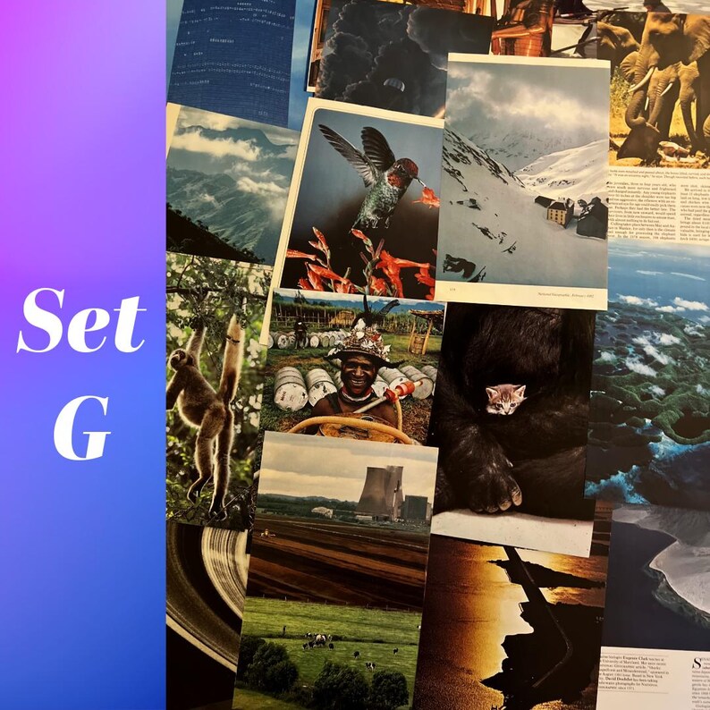 May include: A collage of vintage postcards featuring a variety of images, including a hummingbird in flight, a snowy mountain scene, a man in traditional clothing, a cat in a gorilla's arms, and a landscape with a nuclear power plant.