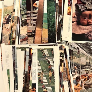 National Geographic Ephemera Pack - junk journaling, collage, mixed media art, wall decor