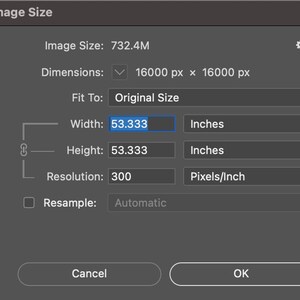 May include: A screenshot of an image size settings window. The image size is 732.4 MB, the dimensions are 16,000 pixels by 16,000 pixels, the fit to is original size, the width is 53.333 inches, the height is 53.333 inches, the resolution is 300 pixels per inch, and the resample is automatic.