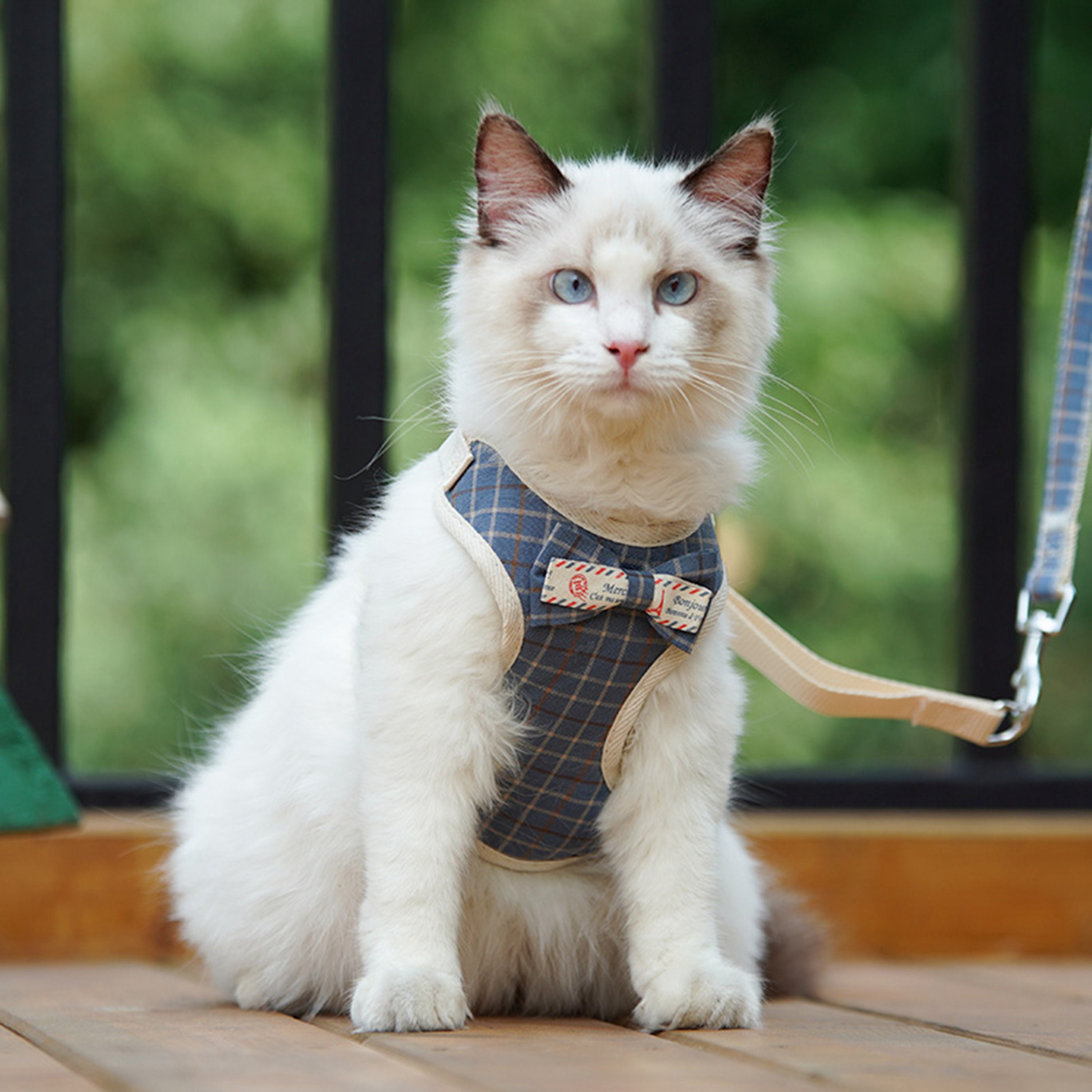 Gerbil hotsell harness leash