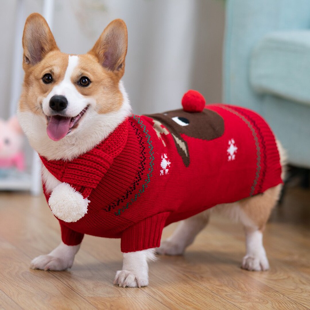 Christmas Clothes, Christmas Gifts for Dogs, Dog Clothes Autumn