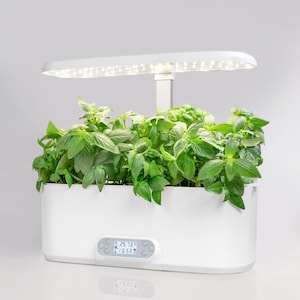 May include: White indoor garden with a grow light and a digital display showing the temperature is 25.73 degrees and the time is 16:53. The garden is filled with green leafy plants.
