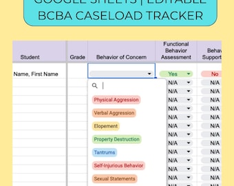 School-Based BCBA Caseload Tracker