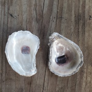 Painted Oyster Shell Trinket or Jewelry Dish
