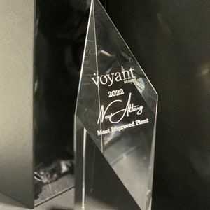 Corporate business award trophy phoenix crystal paragon laser engraving