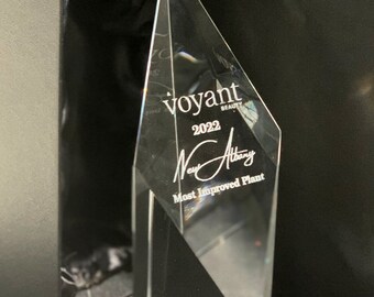 Corporate business award trophy phoenix crystal paragon laser engraving