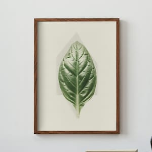 Basilikum Blatt Kräuter Poster Ölgemälde Digitale Kunstwerk | Druck zu Hause | Wandkunst | DRUCKBARE Wandkunst | Digitaldruck | Instant Art