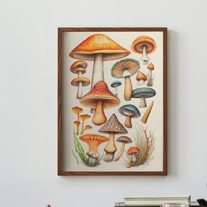Color Pencil Sketch of Mushrooms Digital Artwork | Print at home | Wall Art | PRINTABLE Wall Art | Digital Print | Instant Art