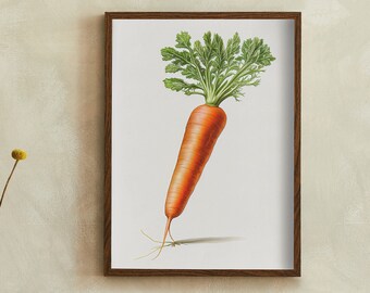 Carrot Vintage Style Sketch Digital Artwork | Print at home | Wall Art | PRINTABLE Wall Art | Digital Print | Instant Art