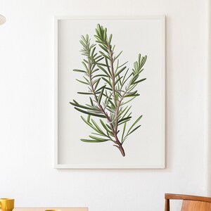 Rosmarin Vintage Stil Kräuter Ölgemälde Digitale Kunstwerk | Druck zu Hause | Wandkunst | DRUCKBARE Wandkunst | Digitaldruck | Instant Art