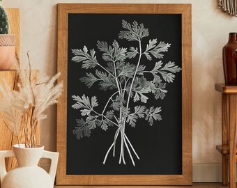 Cilantro Illustration Pencil Drawing Print Botanical Poster | Print at home | Wall Art | PRINTABLE Wall Art | Digital Print | Instant Art