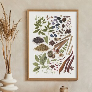 Kräuter und Gewürze Flat Lay Minimalist Print Digitale Kunstwerk | Druck zu Hause | Wandkunst | DRUCKBARE Wandkunst | Digitaldruck | Instant Art