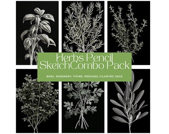 Herbs Pencil Sketch Combo Pack 6 Prints | Print at home | Wall Art | Kitchen Art | PRINTABLE Wall Art | Digital Print | Instant Art