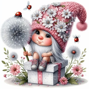 Party King Cutie Garden Gnome