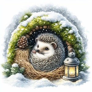 Wintery Hedgehog Clipart 10 High Res Watercolor JPGs for Junk Journal, Scrapbooking, Christmas Cards, Digital Download, Winter Holiday Art