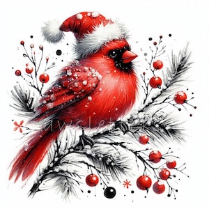Christmas Cardinal Clipart | Set of 10 | High Quality 300 DPI JPEGs | Winter Animals Art | Cute Holiday Animals, Xmas Digital Paper Craft
