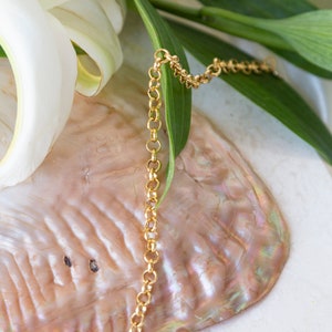 Gold Filled Oyster Necklace With Pearl, Jewelry For Summer, Sea Shell Necklace, Dainty Beach Jewelry, Gold Charm Necklace image 8