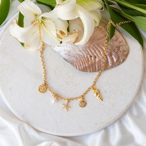 Gold Filled Oyster Necklace With Pearl, Jewelry For Summer, Sea Shell Necklace, Dainty Beach Jewelry, Gold Charm Necklace
