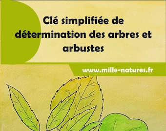 Clé simplifiée de détermination des arbres et arbustes