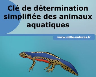 Clé de détermination simplifiée des animaux aquatiques