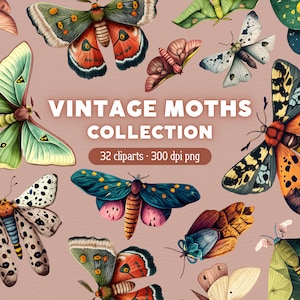 Vintage Moth Clipart Bundle, Aquarell Schmetterling PNG, Lunar Moths Clip Art, kommerzielle Nutzung