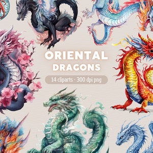 Oriental Dragon PNG, Fantasy Clipart, Animals Clip Art, Bundle for Commercial use