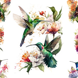 Kolibris Illustrationen, 19 hochwertige JPGs, Blumen und Vögel digitales Papier, Aquarell Cliparts, Natur Design, digitales Basteln