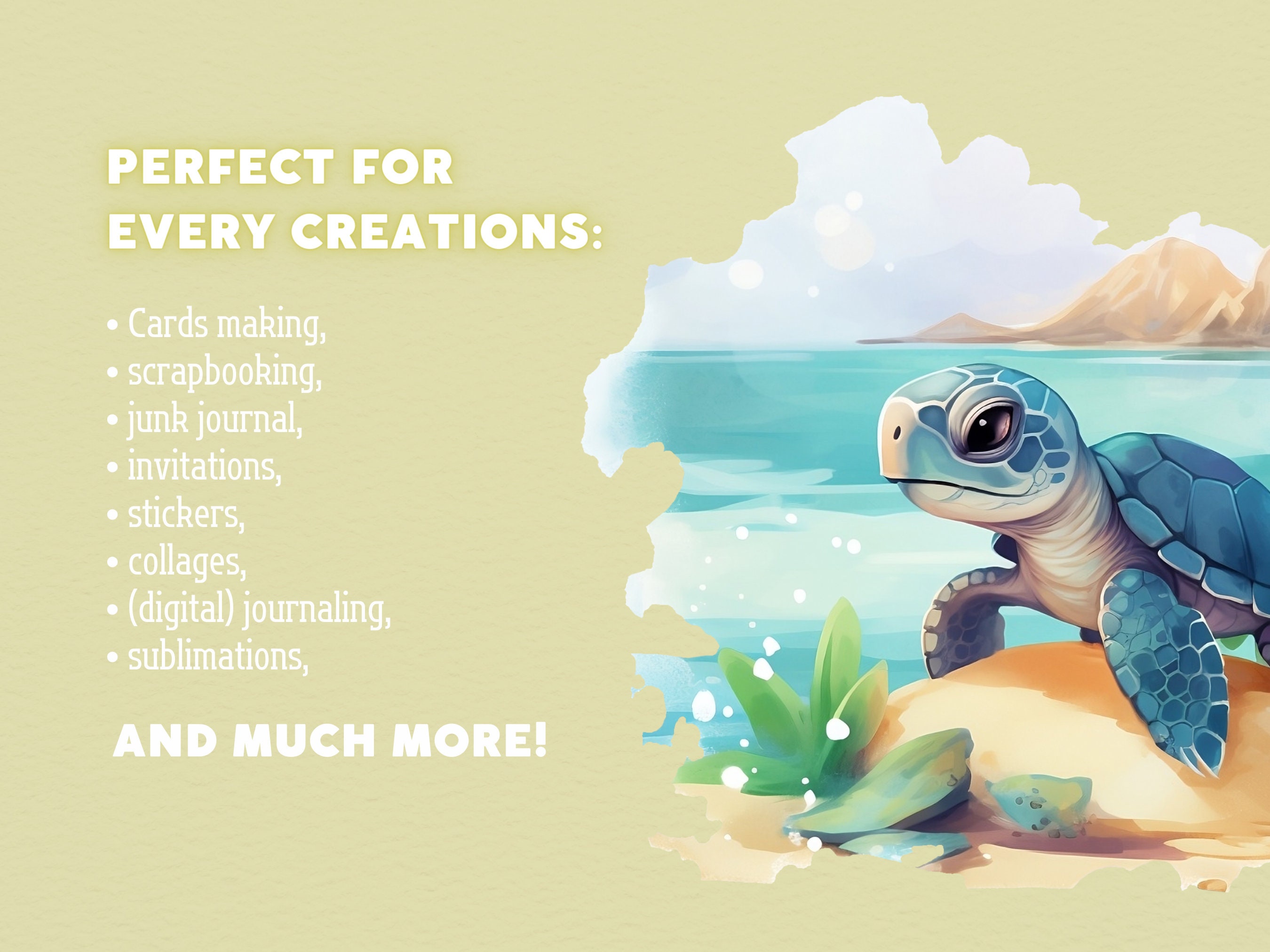 Baby Turtle Clipart Sea Turtle PNG Cute Turtle Clip Art - Etsy