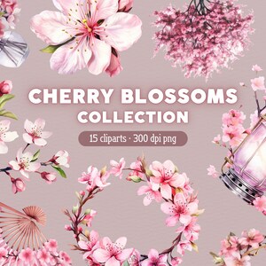 Kirschblüten PNG, Blumen Clipart, Frühling Aquarell Clip Art, Bundle für kommerzielle Nutzung oder Kartenherstellung, Scrapbook, Junk Journal, …