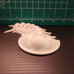 Trilobite Articulated Fidget Toy -Biology Science Paleontology-