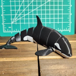 Orca Killer Whale Flexi Articulated Fidget Toy