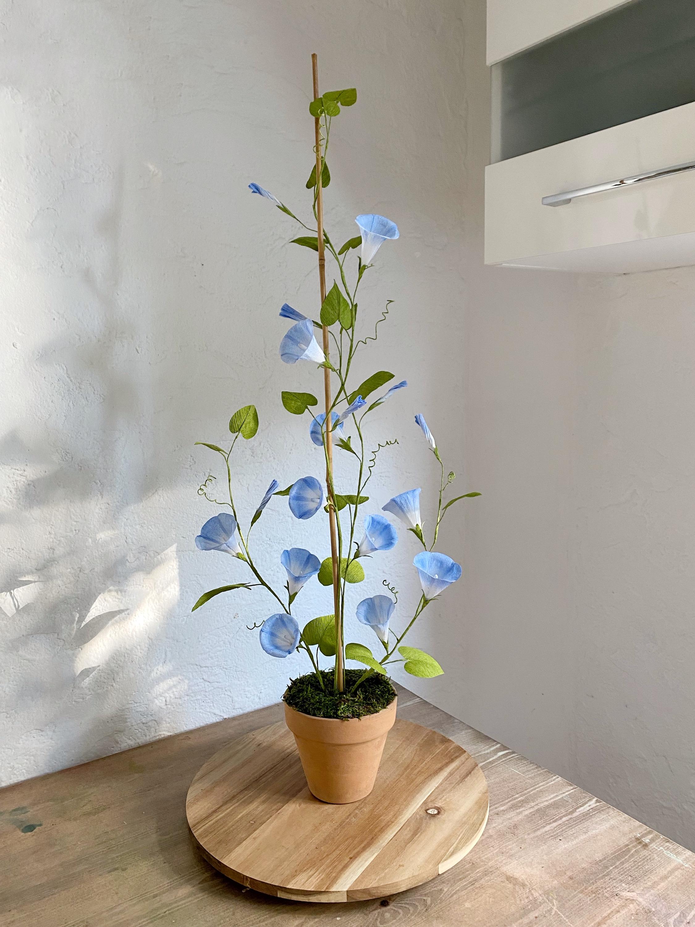 Morning Glory, Large Handmade Potted Plant - Etsy
