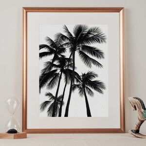 Printable Palm Tree Wall Art Minimalist Black and White Boho Art Print ...