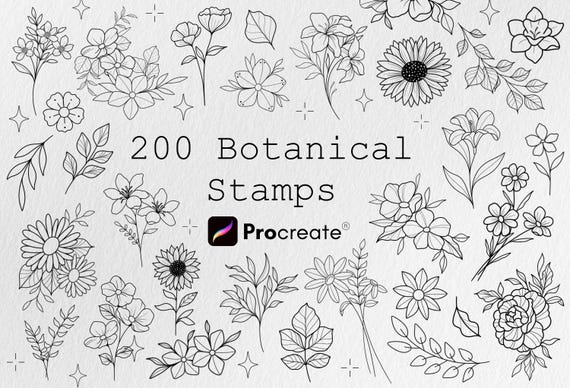 200 Botanical Designs, Brushes Procreate Bundle, Procreate Brush, Stamp Brushes, Floral Tattoo, Floral Stamp, Procreate Flower Brush Tattoo